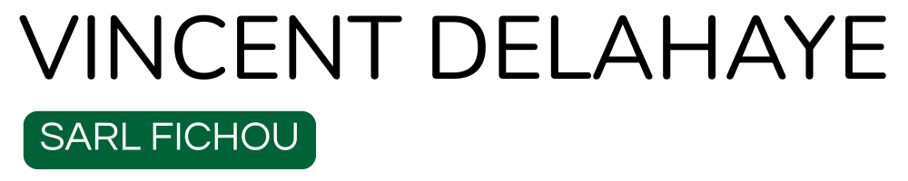 VINCENT DELAHAYE RENOVATION